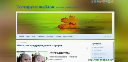 Cum de a face un titlu de pe site-ul web - model de test