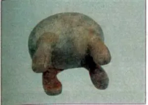 Ca un câine orb din aluat de sare