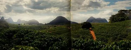 Cum să colecteze cafeaua din Brazilia, mai proaspăt - cel mai bun din ziua în care ați avea nevoie vreodată! (Cafea) Cum să colecteze cafeaua din Brazilia, mai proaspăt - cel mai bun din ziua în care ați avea nevoie vreodată!