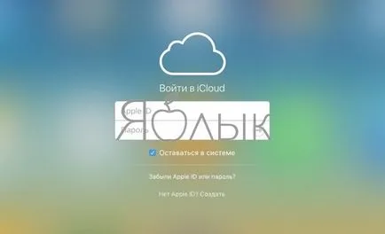 Cum să urmeze omul care a dat iPhone, știri iPhone, iPad și Mac (iPhone) Cum să urmeze omul care a dat iPhone, știri iPhone, iPad și Mac