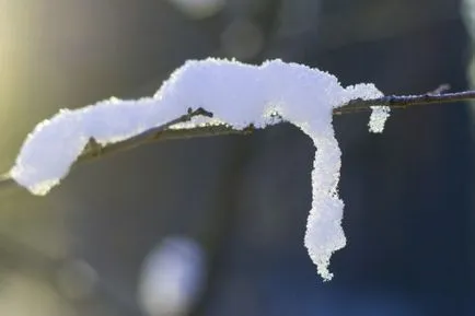 Cum de a elimina zăpadă pentru a arăta textura și strălucire