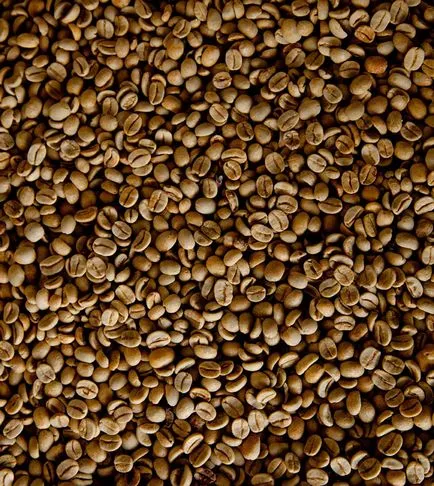 Cum să colecteze cafeaua din Brazilia, mai proaspăt - cel mai bun din ziua în care ați avea nevoie vreodată! (Brazilia) Cum să colecteze cafeaua din Brazilia, mai proaspăt - cel mai bun din ziua în care ați avea nevoie vreodată!