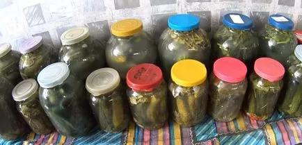 Cum se murarea castraveți în timpul iernii în bănci o rețetă simplă