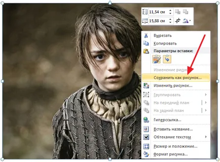 Cum de a salva o imagine dintr-un cuvânt în jpg (de la cuvânt la jpg) Cum de a salva o imagine dintr-un cuvânt pentru a jpg