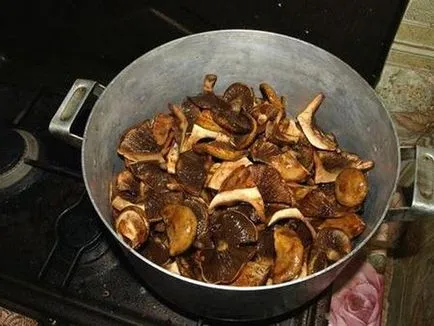 Ca svinuhi sare acasă și pur și simplu delicios (un litru de apă) Ca svinuhi sare la domiciliu și pur și simplu delicios