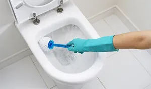 Cum de a elimina rugina din preparatele de specii de metal și metode de utilizare a acestora