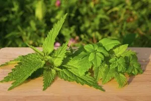 Cum de a elimina o arsura pe mâna lui (senzații dureroase ale victimei) Cum de a elimina o arsura pe mâna lui