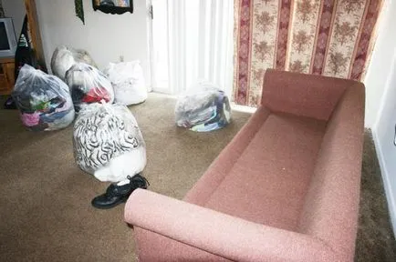 Cum de a distruge bug-uri în lupta împotriva apartament ploșnițe înseamnă recenzii (bug-uri) Cum de a distruge bug-uri în lupta împotriva ploșnițelor apartament înseamnă comentarii
