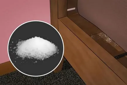 Cum de a distruge bug-uri în lupta împotriva apartament ploșnițe înseamnă recenzii (ploșnițe) Cum de a distruge bug-uri în lupta împotriva ploșnițelor apartament înseamnă comentarii