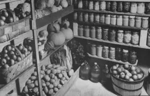 Cum de a izola de izolația din interiorul pivniței tavan, pereti, podea, consiliere profesională