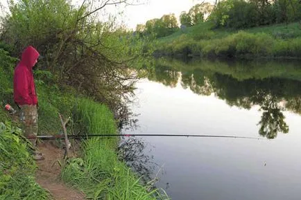 Cum de a alege o tijă float secrete de pescuit (undiță) Cum de a alege o tijă de pescuit float secrete