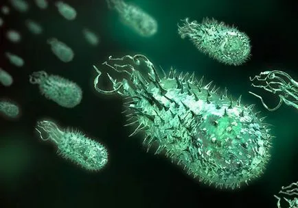 Cum sunt microbi și bacterii - fotografie gratuit farmaceutice căutare (bacterii) Cum sunt microbi și bacterii - fotografie gratuit farmaceutice Căutare