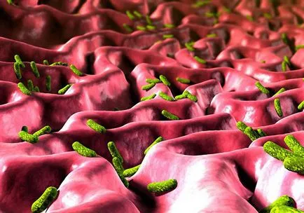 Cum sunt microbi și bacterii - fotografie gratuit farmaceutice căutare (MEDIA imagine calculator) Cum sunt microbi și bacterii - fotografie gratuit farmaceutice Căutare