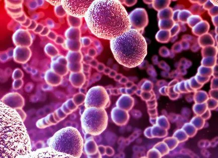 Cum sunt microbi și bacterii - fotografie gratuit farmaceutice căutare (bacterii) Cum sunt microbi și bacterii - fotografie gratuit farmaceutice Căutare