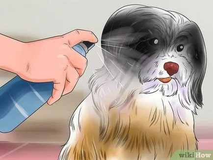 Cum se pieptene incurcaturile în câine (covoare) Cum se pieptene incurcaturi câine