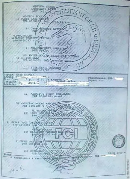 Se pare ca un cățeluș câini metrice și pedigree cu documentele de achiziție (carte de catelus) Se pare ca un cățeluș metrică și Câini de rasă documente atunci când cumpără