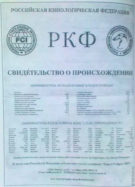 Se pare ca un cățeluș câini metrice și pedigree cu documentele de achiziție (documente atunci când cumpără) Se pare ca un cățeluș metrică și Câini de rasă documente atunci când cumpără