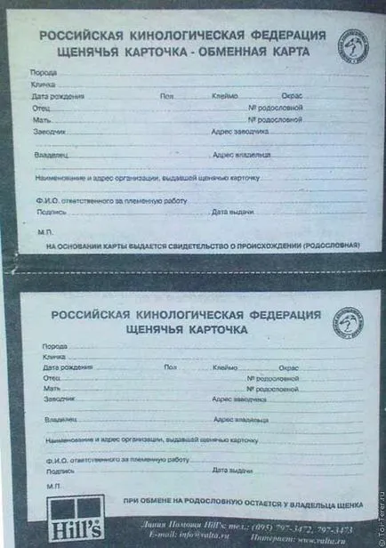 Se pare ca un cățeluș câini metrice și pedigree cu documentele de achiziție (se pare) Se pare ca un cățeluș metrică și Câini de rasă documente atunci când cumpără