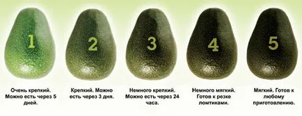 Cum să crească un avocado dintr-o piatră de la domiciliu