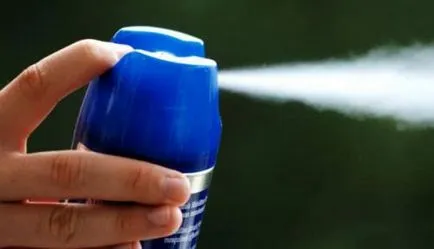 Cum de a aduce puricii din apartament, pentru a primi rapid scăpa de ele remedii populare