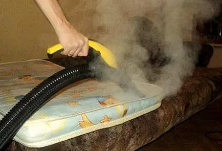 Cum de a aduce puricii din apartament, pentru a primi rapid scăpa de ele remedii populare