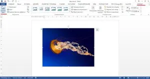 Cum se schimbă Word model (elementul de meniu Word) Cum de a edita o imagine într-un cuvânt