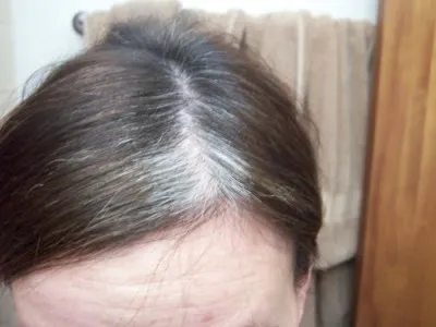 Deoarece culoarea gri pentru păr negru la domiciliu (vopsea) Cum să picteze părul gri la parul inchis la culoare la domiciliu