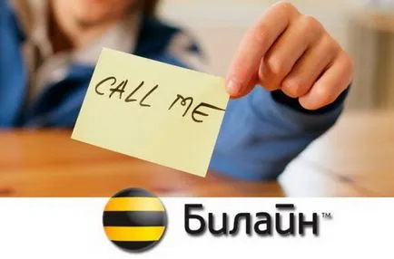 Cum să împrumute bani de pe Beeline - instrucțiuni pentru abonații