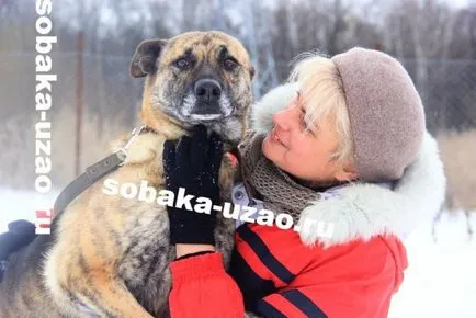 Am devenit un autor voluntar Nina Korotkaya, un adăpost pentru animale fără adăpost YUZAO