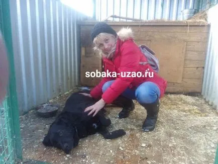 Am devenit un autor voluntar Nina Korotkaya, un adăpost pentru animale fără adăpost YUZAO
