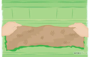 Cum de a încărca arma
