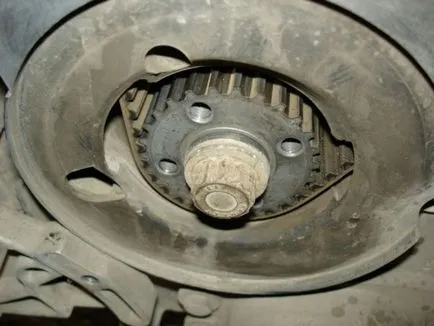 Cum să înlocuiți cureaua de distribuție pe a4 ANB audi motorului, beneficiile ºofer (sigiliul de cauciuc al hotei) Cum să înlocuiți cureaua de distribuție pe motor audi a4 ANB, beneficii automobilist
