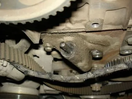 Cum să înlocuiți cureaua de distribuție pe a4 ANB audi motor, automobilist manual (centura) Cum să înlocuiți cureaua de distribuție pe motor audi a4 ANB, beneficii automobilist