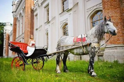 Căruciorul pentru nunta - do vacanță de neuitat