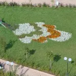 Flowerbeds în grădină (45 poze) caracteristici frumoase, garduri, idei, fotografii și video (foto) Flowerbeds în grădină (45 poze) caracteristici frumoase, garduri, idei, fotografii și videoclipuri