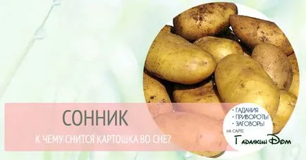 De ce vis de un cartof într-un vis înseamnă că planta, elimina sau cartofi cu coaja