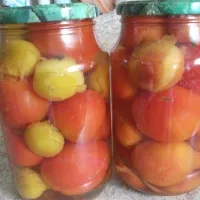 rosii conservate - (mai mult de 16 rețete), cu fotografii de pe (tomate) rosii conservate - (mai mult de 16 rețete), cu fotografii de pe