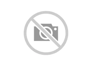Așa cum poate fi sterilizate pisica - femeie e zi (sterilizate) Atunci când este posibil să se sterilizeze o pisica - zi femeie s