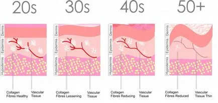Colagenul în produsele cosmetice adevăr și ficțiune 3 editoriale despre produs (Collistar) Colagenul în produsele cosmetice adevăr și ficțiune produs 3 de la editori