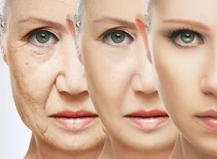 Colagenul în produsele cosmetice adevăr și ficțiune 3 produs editorial (colagen) Colagenul în produsele cosmetice adevăr și ficțiune produs 3 de la editori