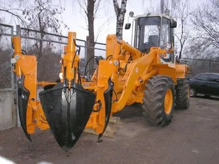 Când și cum să planteze un copac mare pom de Crăciun la cabana lor de vară (bradul de Crăciun) Când și cum să planteze un copac mare pom de Crăciun la cabana lor de vară