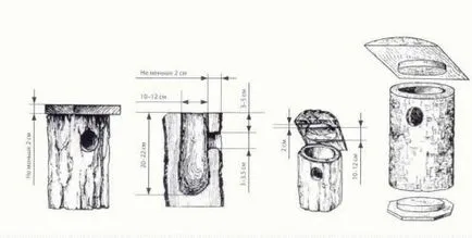 Troacă pentru păsări cu mâinile fotografia lui și idei originale (păsări) Troacă pentru păsări cu mâinile fotografie și idei originale