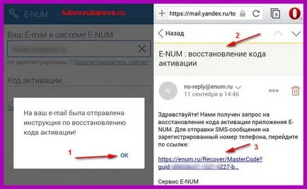 pungă WebMoney (WebMoney) serviciu de conectare e-num, confirmați operațiunea, pe blog-ul Lyubovi Zubarevoy