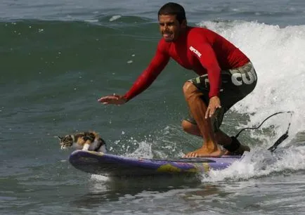 Fildeș Capitanul Yeoman si pisica Cassie - lupi de la mare! (Cat) Fildeș Capitanul Yeoman si pisica Cassie - lupi de la mare!