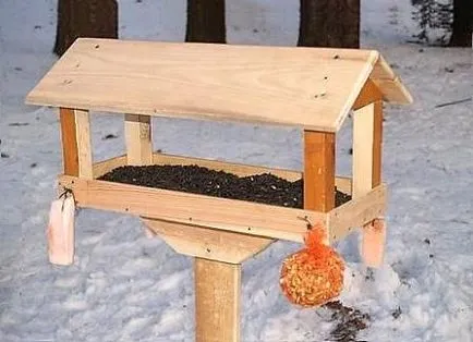 Troacă pentru păsări cu mâinile sale și fotografie idei originale (alimentatoare de păsări cu mâinile lor: fotografii și idei originale) Troacă pentru păsări cu mâinile fotografie și idei originale