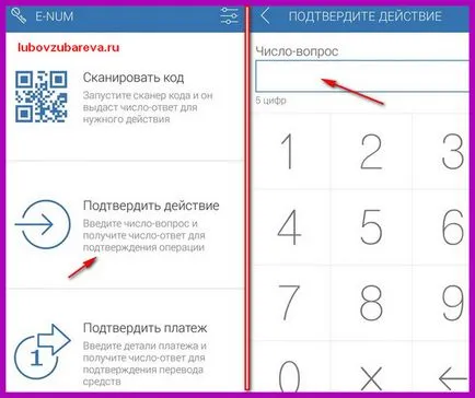 pungă WebMoney (WebMoney) serviciu de conectare e-num, confirmați operațiunea, pe blog-ul Lyubovi Zubarevoy