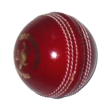Cricket - l
