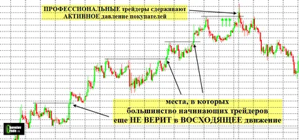 Cine, cum și de ce lacrimile stop-loss, comercializare eficiente cu Aleksandrom Shevelevym