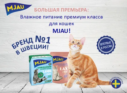 Vand locuri de joaca, case, zgâriere posturi (joc) Cumpara locuri de joacă, case, locuri de zgâriat