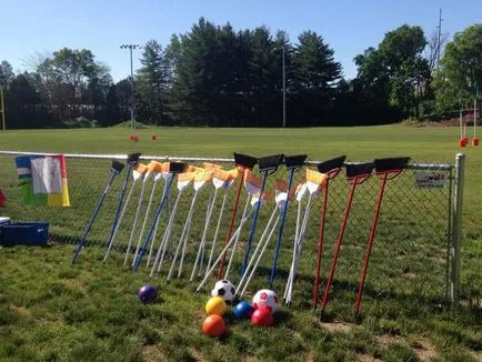 Quidditch - este